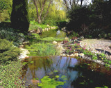Spring is Here! #2 by Ramad, Photography->Landscape gallery
