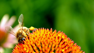 Click here to view at full resolution.