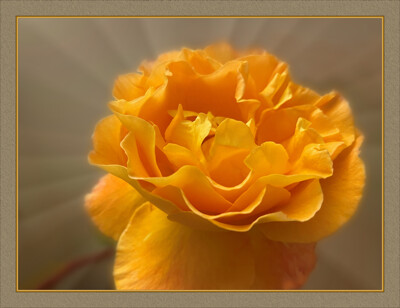 Click here to view at full resolution.