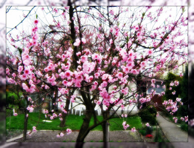 Click here to view at full resolution.