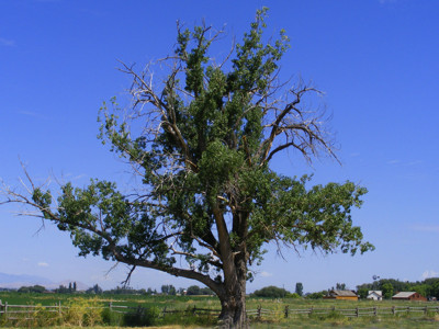 Click here to view at full resolution.