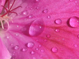 Crystal Balls by ImmortalSun, Photography->Macro gallery