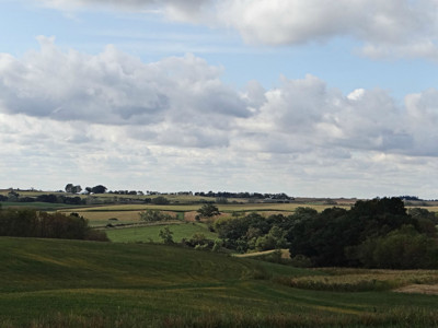 Click here to view at full resolution.