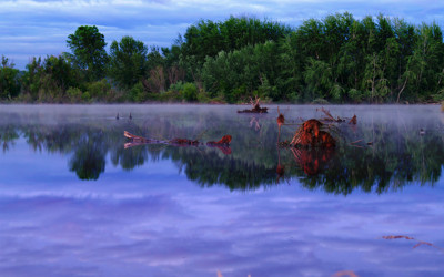 Click here to view at full resolution.