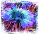 Come Friday by Starglow, photography->manipulation gallery