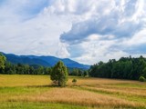 At Cades Cove by bfrank, photography->landscape gallery