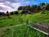 Miller Knox Regional Shoreline, Richmond, Ca by Flmngseabass, photography->landscape gallery