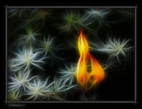 Yellow Flame Fractal by kodo34, abstract->Surrealism gallery