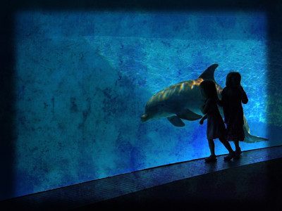 Click here to view at full resolution.