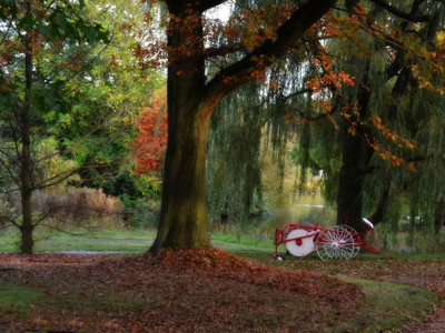 Click here to view at full resolution.