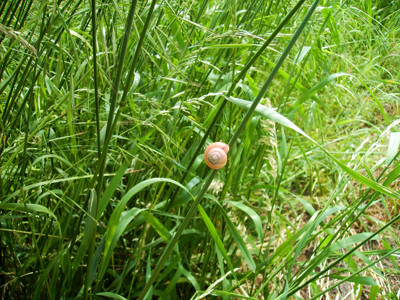Click here to view at full resolution.