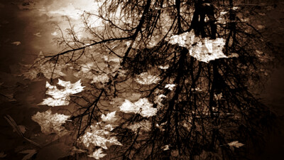 Click here to view at full resolution.