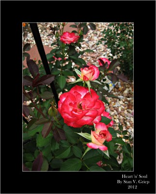 Click here to view at full resolution.