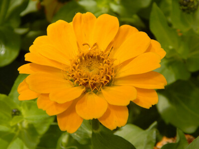 Click here to view at full resolution.