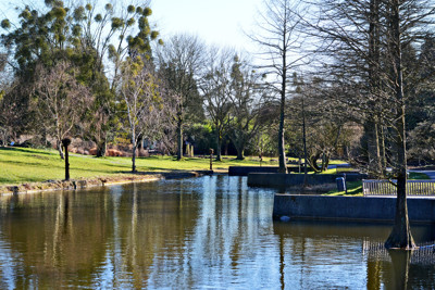 Click here to view at full resolution.