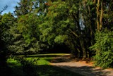 beautiful afternoon 8 by gaeljet2, Photography->Landscape gallery