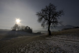 Just walking around by Mauntnbeika, Photography->Landscape gallery