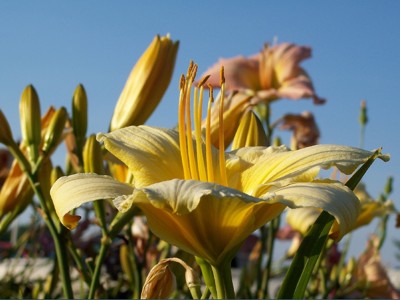 Click here to view at full resolution.