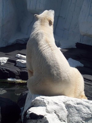 Click here to view at full resolution.