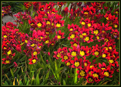 Click here to view at full resolution.