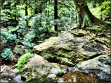Rocky  Path by amishy, Photography->Landscape gallery