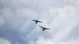 Swan Flight by Tomeast, photography->birds gallery