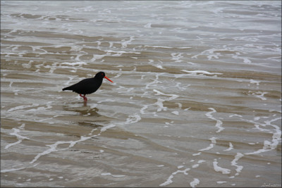 Click here to view at full resolution.