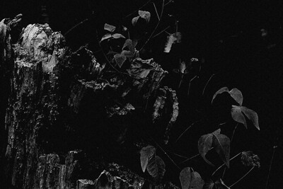 Click here to view at full resolution.