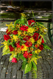 Gig Foofies 149 by corngrowth, photography->flowers gallery
