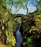 Aira Force by biffobear, photography->waterfalls gallery