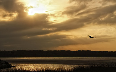 Click here to view at full resolution.