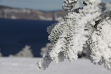 Frosty trees at Crater Lake by auroraobers, photography->nature gallery