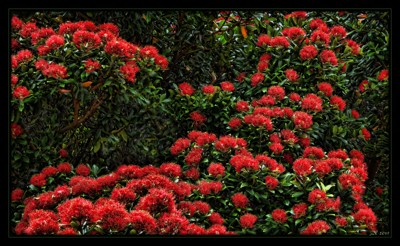 Click here to view at full resolution.