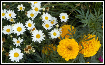 Click here to view at full resolution.