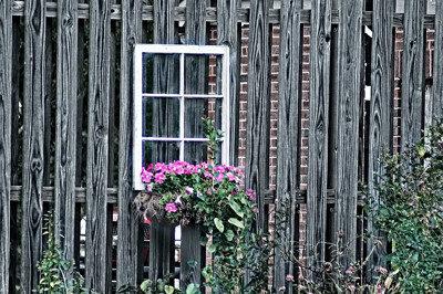 Click here to view at full resolution.