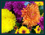 Just Passing by LynEve, photography->flowers gallery