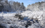 Snowy Stream by Tomeast, photography->landscape gallery