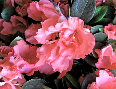 Click here to view at full resolution.