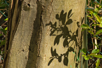 Click here to view at full resolution.
