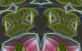 Guilty On Both Accounts by Flmngseabass, abstract->fractal gallery