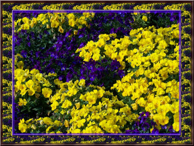 Click here to view at full resolution.