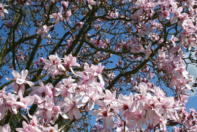 Click here to view at full resolution.