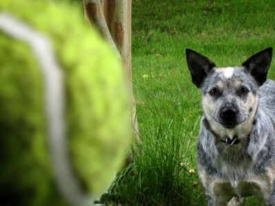 Click here to view at full resolution.