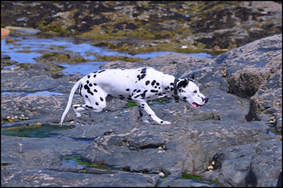 Click here to view at full resolution.