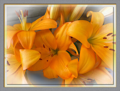 Click here to view at full resolution.