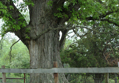 Click here to view at full resolution.