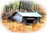 Little Old Shed by Starglow, photography->general gallery