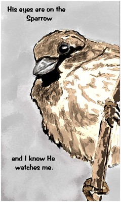 Click here to view at full resolution.