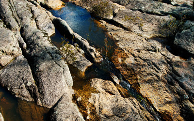 Click here to view at full resolution.