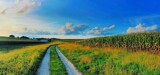 Almost Harvest Time by Starglow, photography->landscape gallery